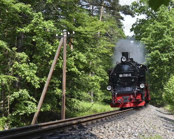 Der rasende Roland, steam locomotive on Rügen, Mecklenburg-Western Pomerania, Germany