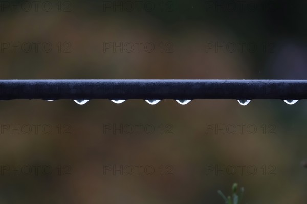 Drops of water, rainy weather, Germany