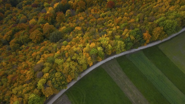 Indian summer in the Swabian Jura — autumn colors between forest and field