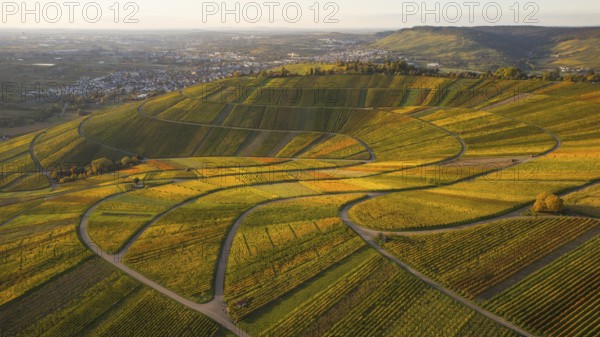 Golden autumn over the vineyards of Weinstadt Beutelsbach, Baden-Württemberg, Germany