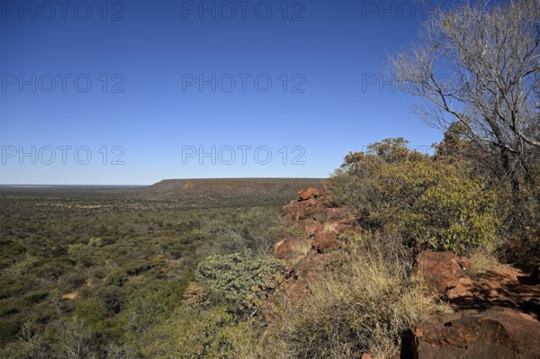View of the Waterberg, Otjozondjupa region, Namibia