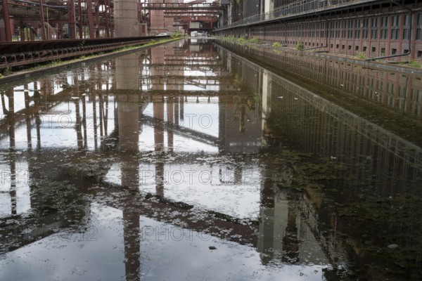 Zollverein coking plant, coke oven batteries and chimneys are reflected, water basin, UNESCO World Heritage Site, Essen, Ruhr area, North Rhine-Westphalia, Germany