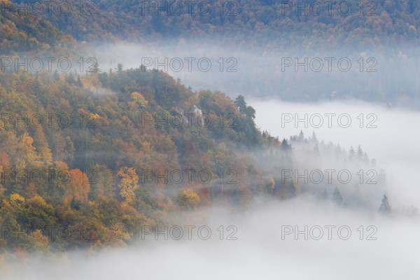 View from the Knopfmacherfels into the Danube valley, mixed forest, autumn colours, fog, autumn, Fridingen, Upper Danube nature park Park, Baden-Württemberg, Germany