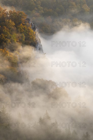 View from the Knopfmacherfelsen into the Danube valley, limestone rock, rock face, mixed forest, autumn colours, fog, autumn, Fridingen, Danube valley, Upper Danube nature park Park, Baden-Württemberg, Germany