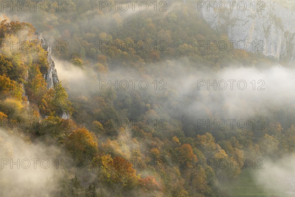 View from the Knopfmacherfelsen into the Danube valley, limestone rock, rock face, mixed forest, autumn colours, fog, autumn, Fridingen, Danube valley, Upper Danube nature park Park, Baden-Württemberg, Germany