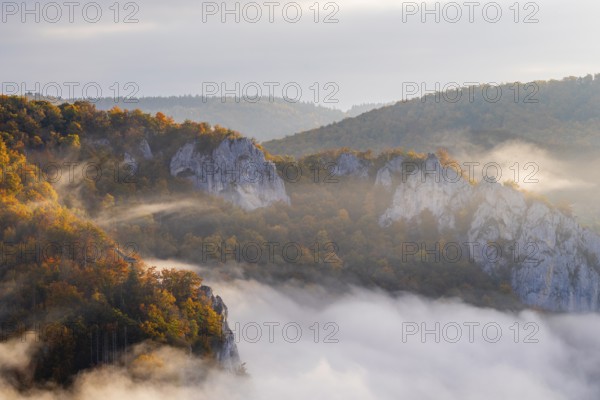 View from the Knopfmacherfels into the Danube valley, limestone rock, rock face, mixed forest, autumn colours, fog, autumn, Fridingen, Upper Danube nature park Park, Baden-Württemberg, Germany