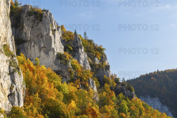Rock face with mixed forest in autumn colours, limestone rock, autumn, Schaufelsen Donautal, Naturpark Obere Donau, Baden-Württemberg, Germany