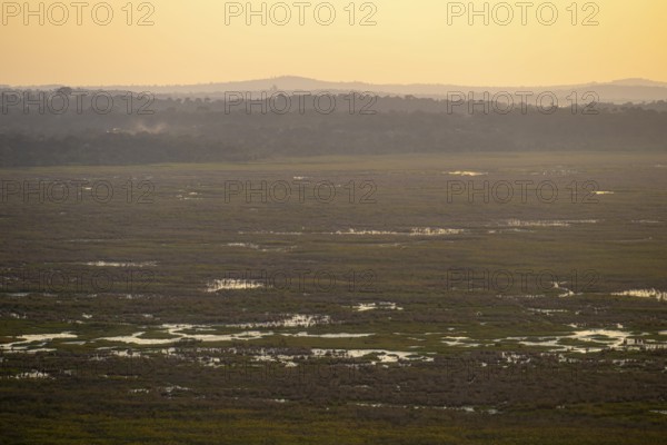 Landscape, Lake Victoria and Mabamba Swamp, Lake Victoria, Uganda