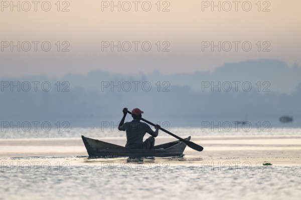 Fisherman in a rowing boat, silhouette, morning mood, Mabamba Swamp, Lake Victoria, Uganda