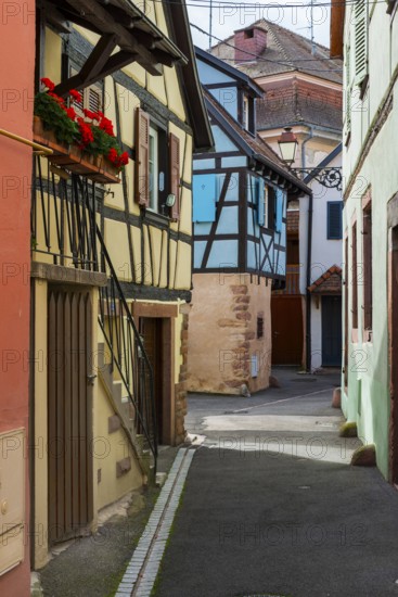 Alley with half-timbered houses in the old town centre of Ribeauvillè