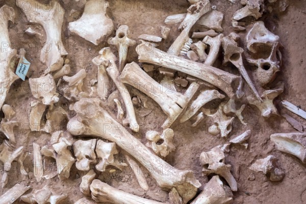 Beulah, Wyoming - The Vore Buffalo Jump, a sinkhole used by Plains Indians as a trap for bison from about 1550 through 1800. Archaeologists have uncovered thousands of bones, though only about 10 percent of the site has been excavated