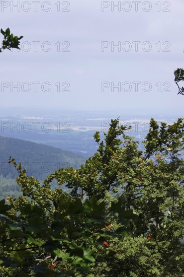 Beautiful landscape in summer, Upper Lusatia, Saxony, Germany