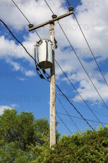 Electricity transformer, high voltage transmission wires, internet, telephone cables attached to wooden utility pole in Thuja - Cedar hedge, Quebec, Canada
