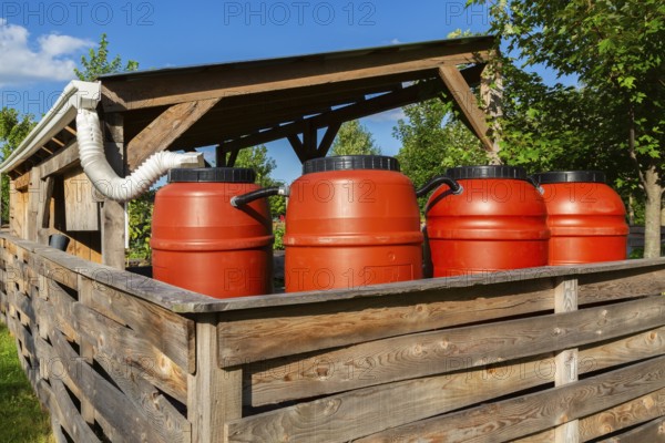 Reddish brown plastic water butts collecting and storing rain water from white plastic downspout in community garden enclosure in summer, Quebec, Canada