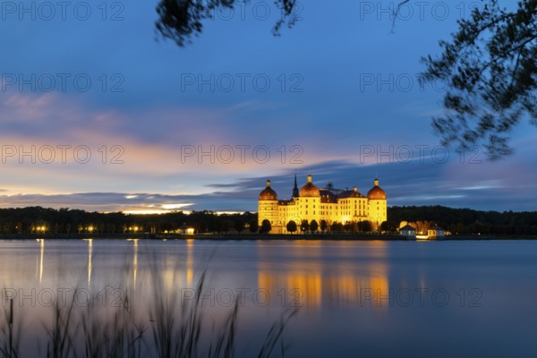 Moritzburg Castle in the blue hour, castle pond, reflection, sunset, common reed (Phragmites australis), Moritzburg, Saxony, Germany