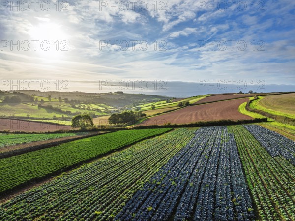 Fields and Farms at evening sun from a drone, Shaldon, Torquay, Devon, England, United Kingdom