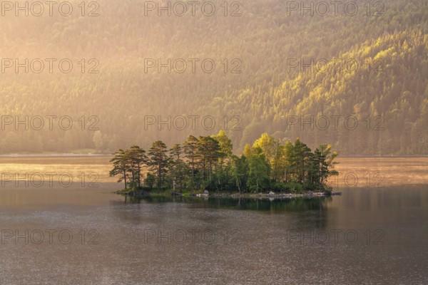 Morning atmosphere at the Eibsee lake, small island in the first light, Grainau near Garmisch-Partenkirchen, Upper Bavaria, Bavaria, Germany