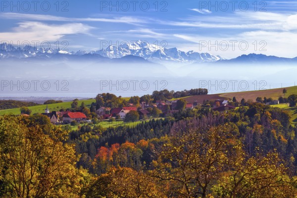 Village of Juriens in the Vaud Jura with view of Mont Blanc, haze over Lake Geneva, autumn-coloured deciduous trees in front, Canton of Vaud, Switzerland