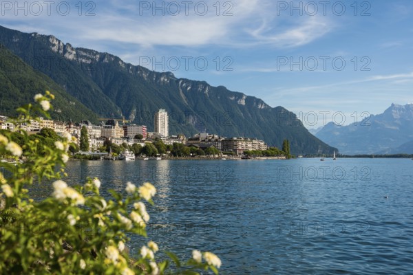 Town by the lake, Panorama, Montreux, Lake Geneva, Lac Léman, Canton Vaud, Switzerland