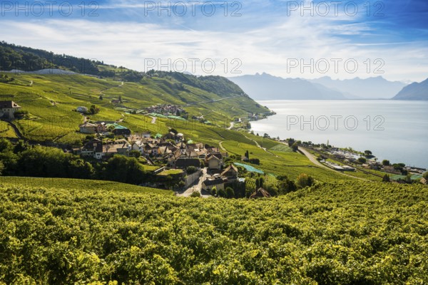 Picturesque village in the vineyards by the lake, Epesses, Lavaux, UNESCO World Heritage Site, Lake Geneva, Lac Léman, Canton of Vaud, Switzerland