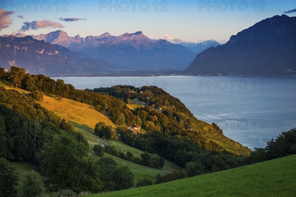 Panorama, Lake and mountains, Tour-de-Gourze, Riex, Sunset, Lavaux, UNESCO World Heritage Site, Lake Geneva, Lac Léman, Canton of Vaud, Switzerland