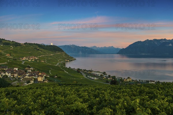 Picturesque village in the vineyards by the lake, Epesses, sunset, full moon, Lavaux, UNESCO World Heritage Site, Lake Geneva, Lac Léman, Canton of Vaud, Switzerland