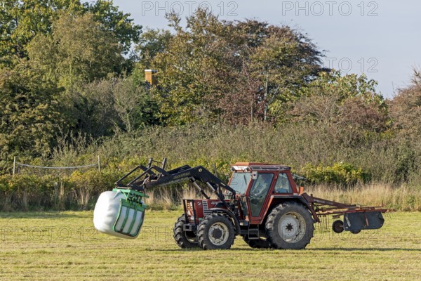 Tractor transporting bales of silage wrapped in film, Falshöft, Pommerby, Schleswig-Holstein, Germany