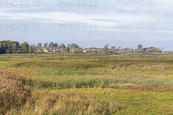 Holiday village Reetdorf Geltinger Birk, Geltinger Birk nature reserve, Geltinger Bucht, Schleswig-Holstein, Germany