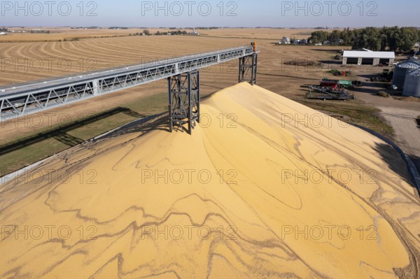 Inwood, Iowa - Newly-harvested corn is piled up at Cooperative Farmers Elevator (CFE). The pile will be covered by a tarp for the winter and then sold in the spring