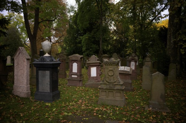 Gravestones, grave, graves, Israelite, Jewish cemetery, Hoppenlauf cemetery, oldest preserved cemetery in Stuttgart, autumn leaves, autumn, autumnal, Baden-Württemberg, Germany