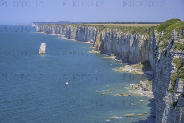 Aiguille de Belval, hike from Etretat to Yport along the chalk cliff coast, Département Seine-Maritime, France