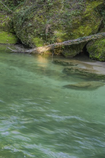 Erlauf Gorge, Purgstall an der Erlauf, Lower Austria, Austria