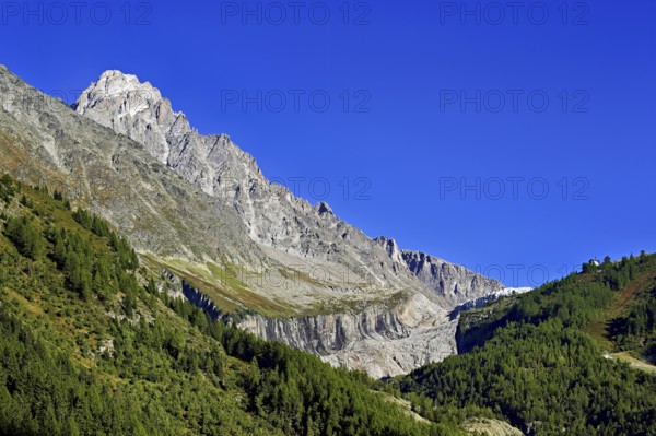 Aiguille du Chardonnet, front foothills of the Argentière glacier, Argentière, Chamonix-Mont-Blanc, Haute-Savoie, France