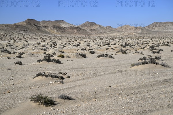 Diamond mining mound in the desert sand at the beginning of the 20th century, Pomona, restricted diamond area, near Lüderitz, Karas region, Namibia