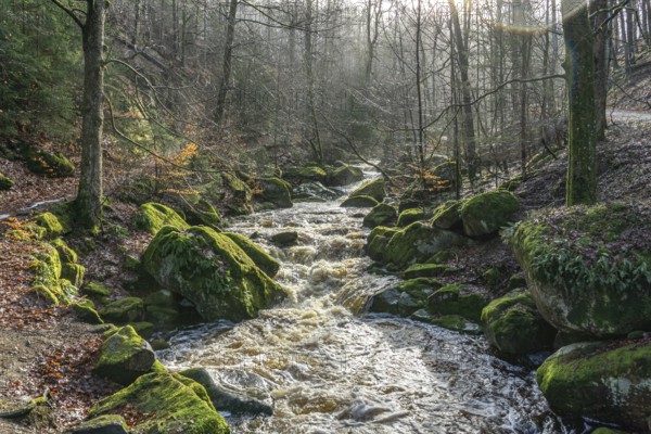 The Ilse at the Heinrich-Heine-Weg near Ilsenburg, Saxony-Anhalt, Germany