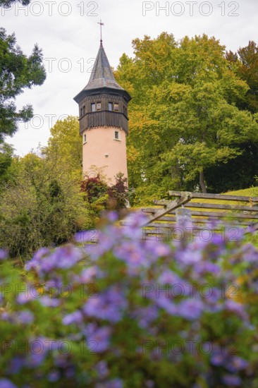 Tower behind blooming flowers in the foreground, surrounded by trees in autumn, Mainau flower island, Lake Constance, Germany
