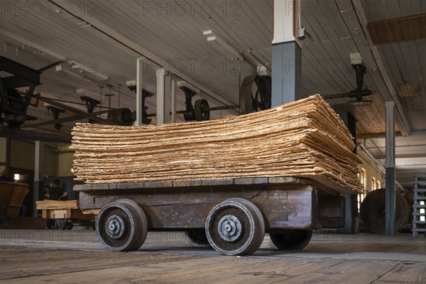 Wagon on rails for transporting cardboard, former paper factory and mill for the production of groundwood pulp board, UNESCO World Heritage Site Verla Factory Village, Maailmanperintökohde Verlan puuhiomo ja pahvitehdas, Verla Rapids, Kymenlaakso, near Kouvola, Finland