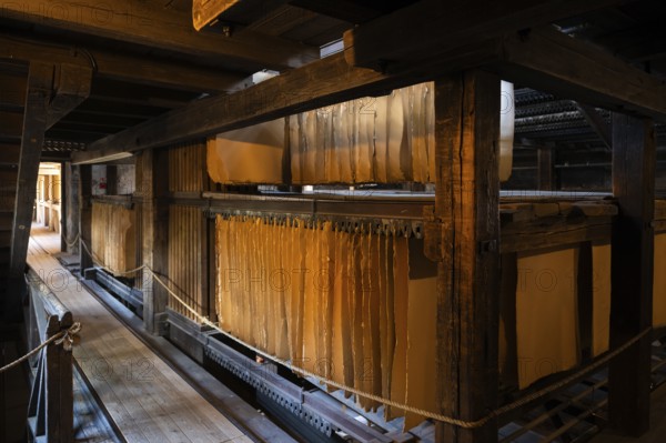 Cardboard hung up to dry, drying plant, factory hall, former paper factory and mill for the production of groundwood pulp board, UNESCO World Heritage Site Verla Factory Village, Maailmanperintökohde Verlan puuhiomo ja pahvitehdas, Verla Rapids, Kymenlaakso, near Kouvola, Finland
