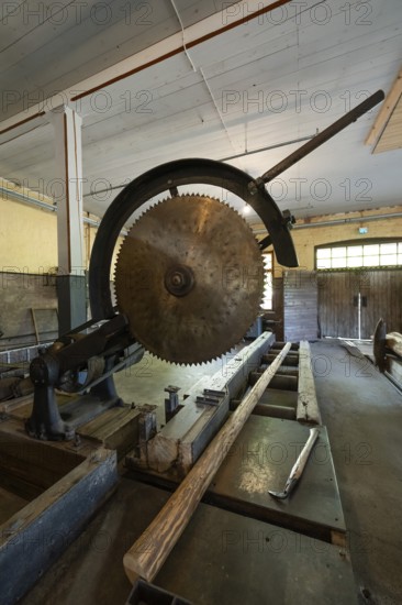 Large historic circular saw and log, former paper factory and mill for the production of groundwood pulp board, UNESCO World Heritage Site Verla Factory Village, Maailmanperintökohde Verlan puuhiomo ja pahvitehdas, Verla Rapids, Kymenlaakso, near Kouvola, Finland
