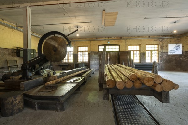 Large historic circular saw and railway carriage with logs, former paper mill and mill for the production of groundwood pulp board, UNESCO World Heritage Site Verla Factory Village, Maailmanperintökohde Verlan puuhiomo ja pahvitehdas, Verla Rapids, Kymenlaakso, near Kouvola, Finland