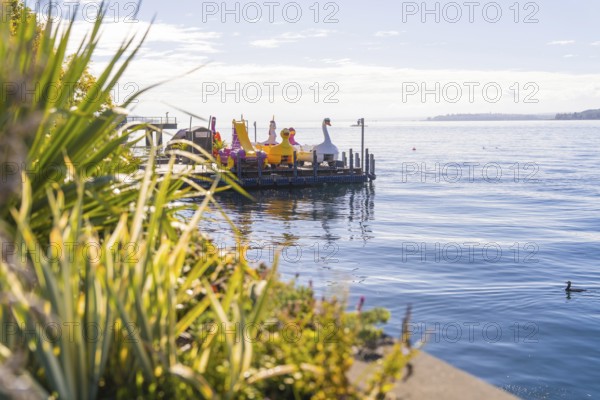 Tranquillity on the lake with a platform full of pedal boats and clear blue water, Überlingen, Lake Constance, Germany