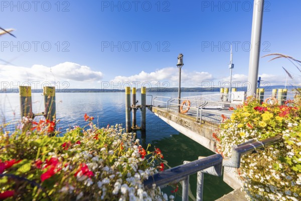 Flower-decorated pier on a calm lake under a clear sky, Überlingen, Lake Constance, Germany