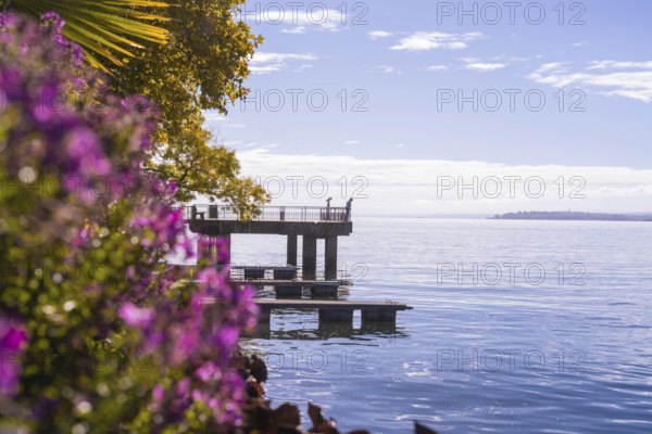 Colourful jetty by the water with flowers in the foreground and calm sky, Überlingen, Lake Constance, Germany