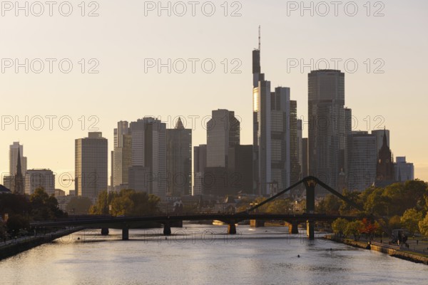 The trees on the banks of the River Main glow with autumnal colour in the light of the evening sun, Frankfurt am Main, Hesse, Germany