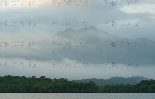 Atlantic Rainforest Coast, Brazil
