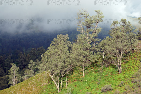 Landscape volcano Ijen, Indonesia