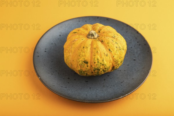 Orange Pumpkin on blue plate on orange pastel paper background. Side view, copy space, healthy food, vegetable, minimalism, contrast