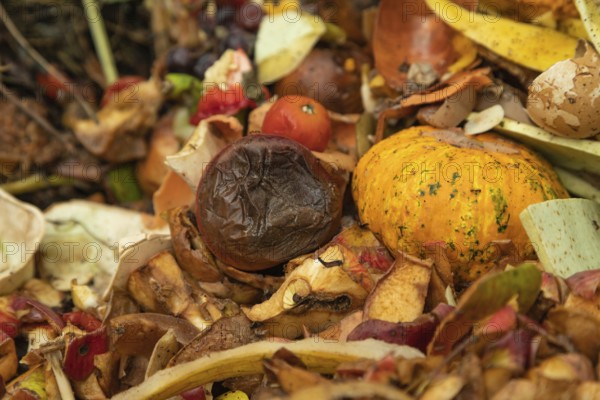 Compost pile made of organic food, leaves, vegetable and fruit Waste mix, Zero waste and Eco friendly Recycling concept