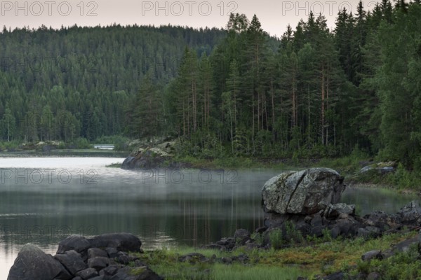 A calm lake with mist and rocks in front of a dense forest in the evening, Akershus, Norway