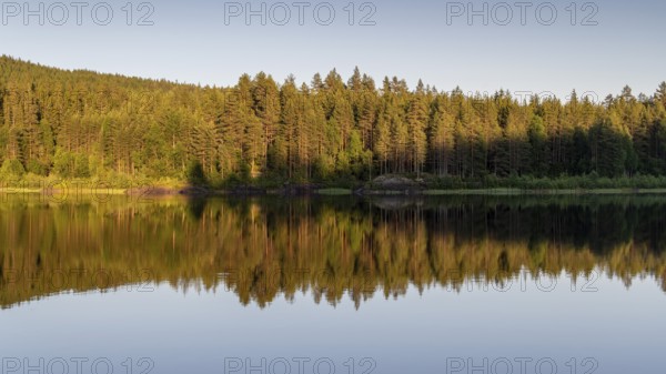 Reflecting water surface, forest lake, sunset, Akershus, Norway